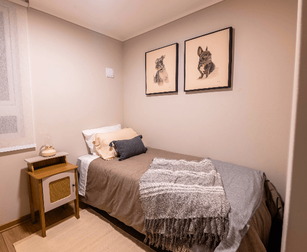 contenido_proyecto_slide2